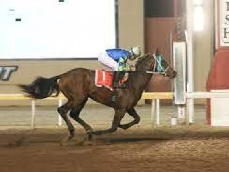 Essential Quality Leads Kentucky Derby Workout Parade Image 2